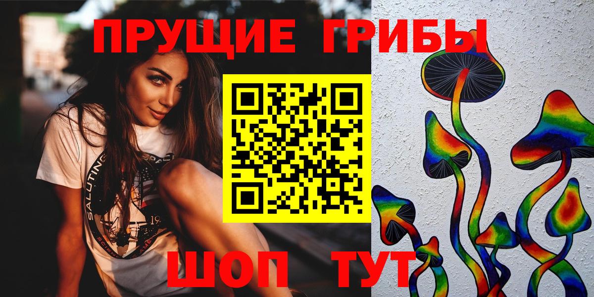 Дербент  Псилоцибиновые грибы Psilocybe  Вход с VPN 