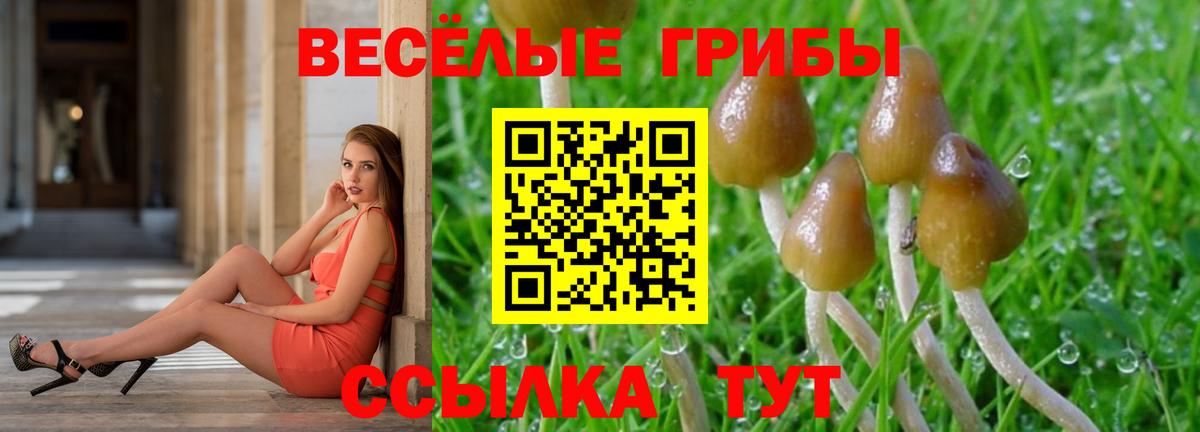 Псилоцибиновые грибы мухоморы Дербент